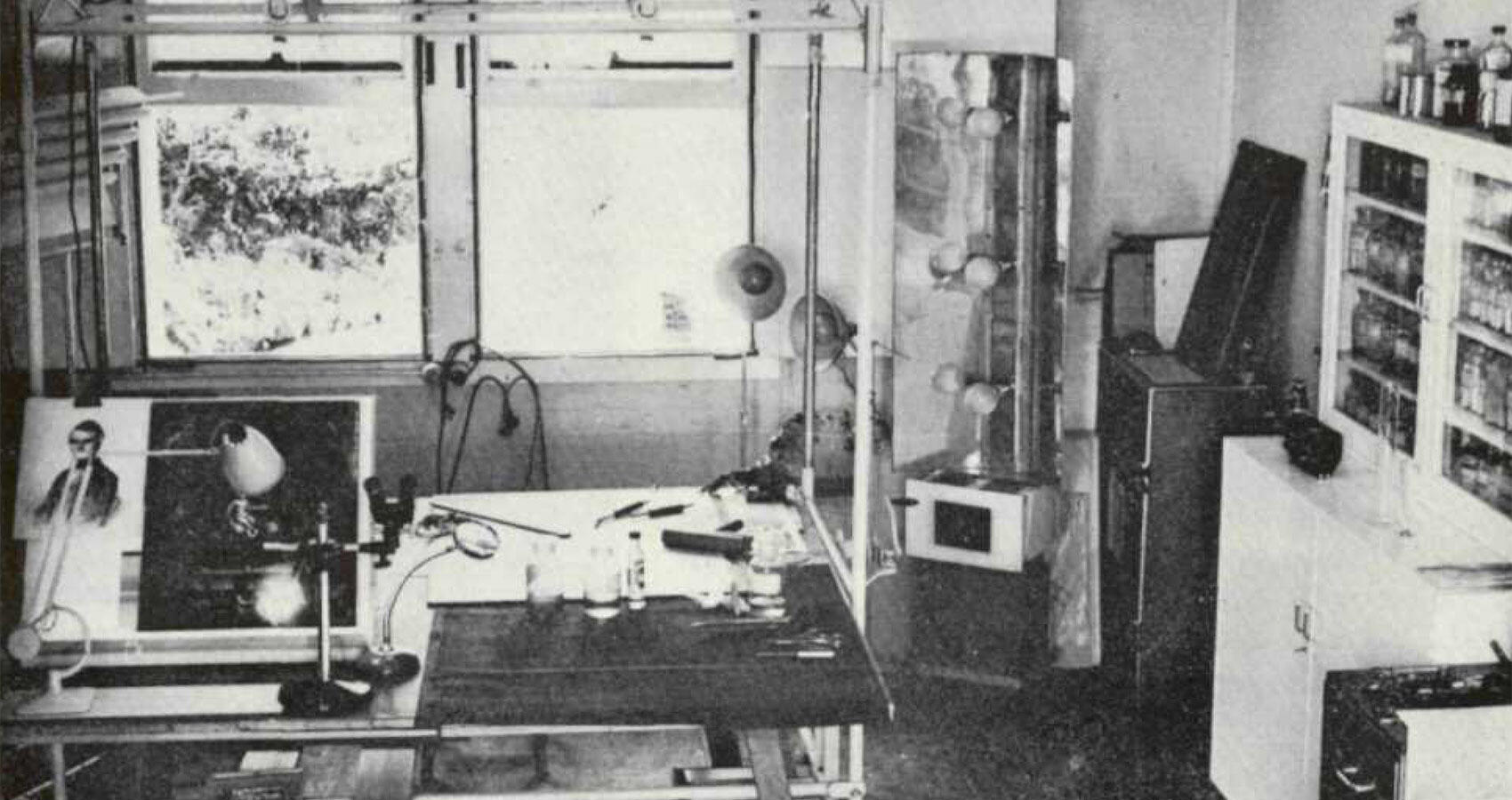 History and collections