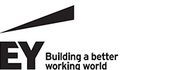Principal partner