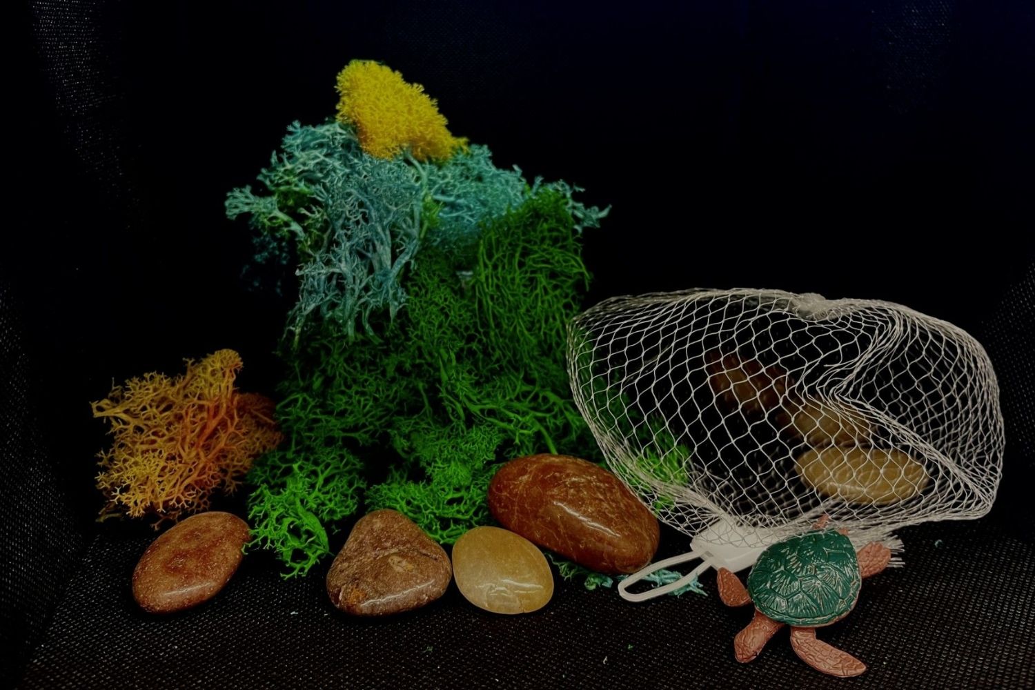 kids-and-whanau-festival-still-life-photography.jpg