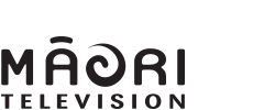 Media partner