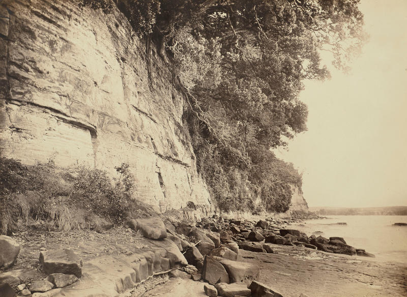 <p><strong>John Kinder</strong><em>, Cliff with Overhanging Pohutukawa, Whangaparaoa</em>, 1868, Auckland Art Gallery Toi o Tāmaki, purchased 1983.</p>

<p><font color="#000000" face="Theinhardt, Arial, sans-serif"><span style="font-size: 16px;">&nbsp;</span></font></p>

<p>&nbsp;</p>
