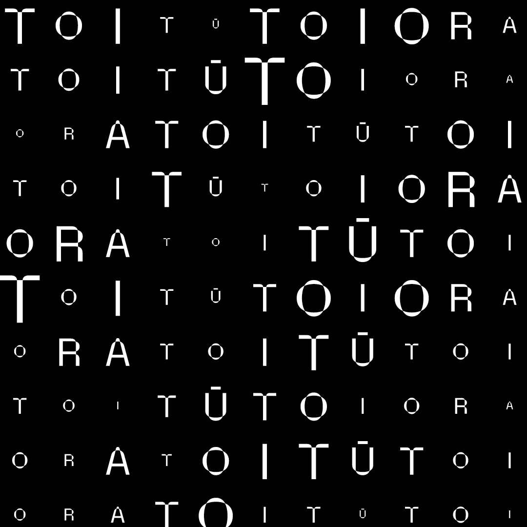 Toi Tū Toi Ora: Contemporary Māori Art Image