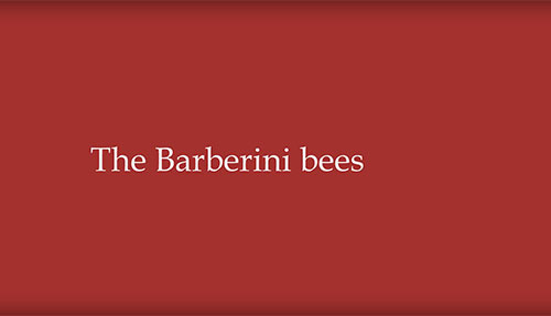 The Corsini Collection: The Barberini Bees Image