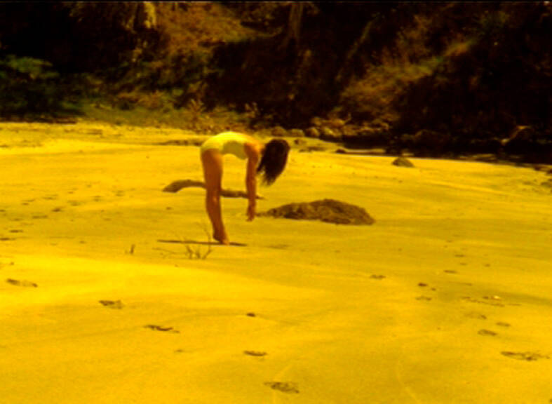 <p>Image credit</p>

<p><strong>Sriwhana Spong</strong>, <em>Beach Study</em>, 2012, 16mm film transferred to video, single channel, standard definition (SD), colour, silent,&nbsp;Chartwell Collection, Auckland Art Gallery Toi o Tāmaki, purchased 2012.<br />
&nbsp;</p>
