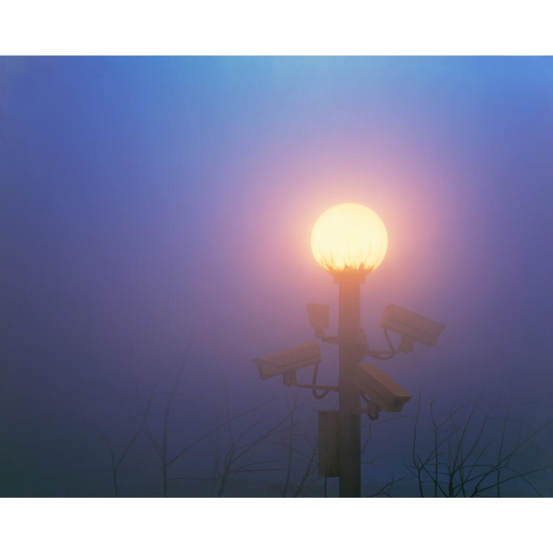 Members Tour | Forever Tomorrow: Chinese Art Now