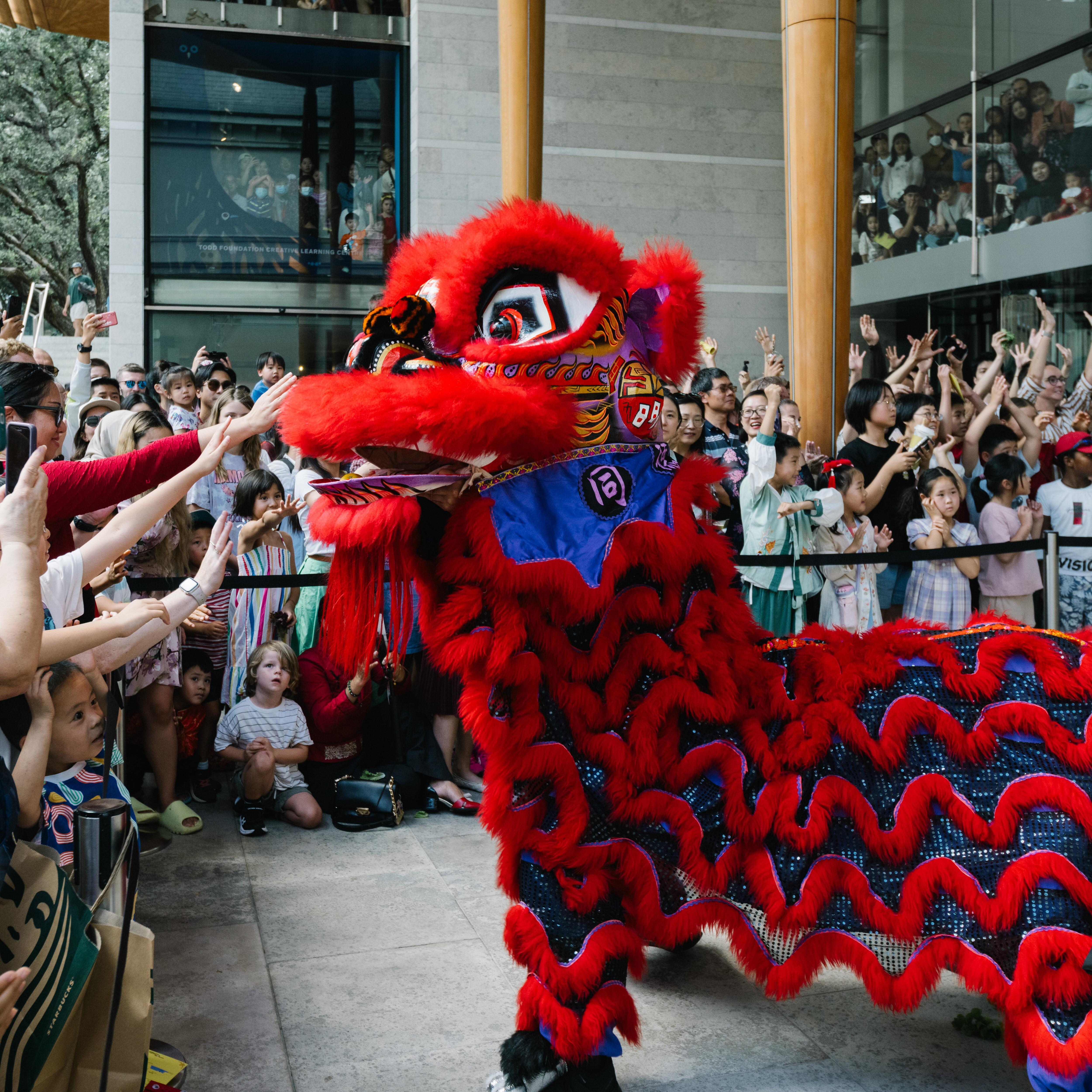 <p><strong>Tung Tek Lion Dance &ndash; Performance</strong></p>

<p>Forecourt, 10am and 12.30pm</p>

<p>Tung Tek Lion Dance is Auckland&#39;s most entertaining lion dance team! Lion dance is a traditional Chinese cultural art expression, where performers mimic the behaviour and motions of a lion. The group is proud to bring a modern take on this ancient Chinese traditional artform to entertain all ages and crowds alike!</p>

<p><em>Missed them at the Gallery? You can also watch the lion dancers at the Midtown Street Party on Lorne Street at 11am and 2pm!</em></p>

<p>同德醒狮团 &mdash;&mdash; 表演</p>

<p>美术馆前院（Forecourt），上午10点、下午12点30分</p>

<p>同德醒狮团是奥克兰最具娱乐性的狮舞团队！狮舞是中华传统文化艺术，源自对雄狮神态与动势的模仿。舞者们将自信地用现代方式演绎古老传统，带来一场老少咸宜，极具趣味的表演！</p>

<p>错过了美术馆的狮舞？你可以在位于Lorne Street的市中心街头派对（Midtown Street Party）中欣赏同德醒狮团分别开始于今天上午11点和下午2点的表演！</p>
