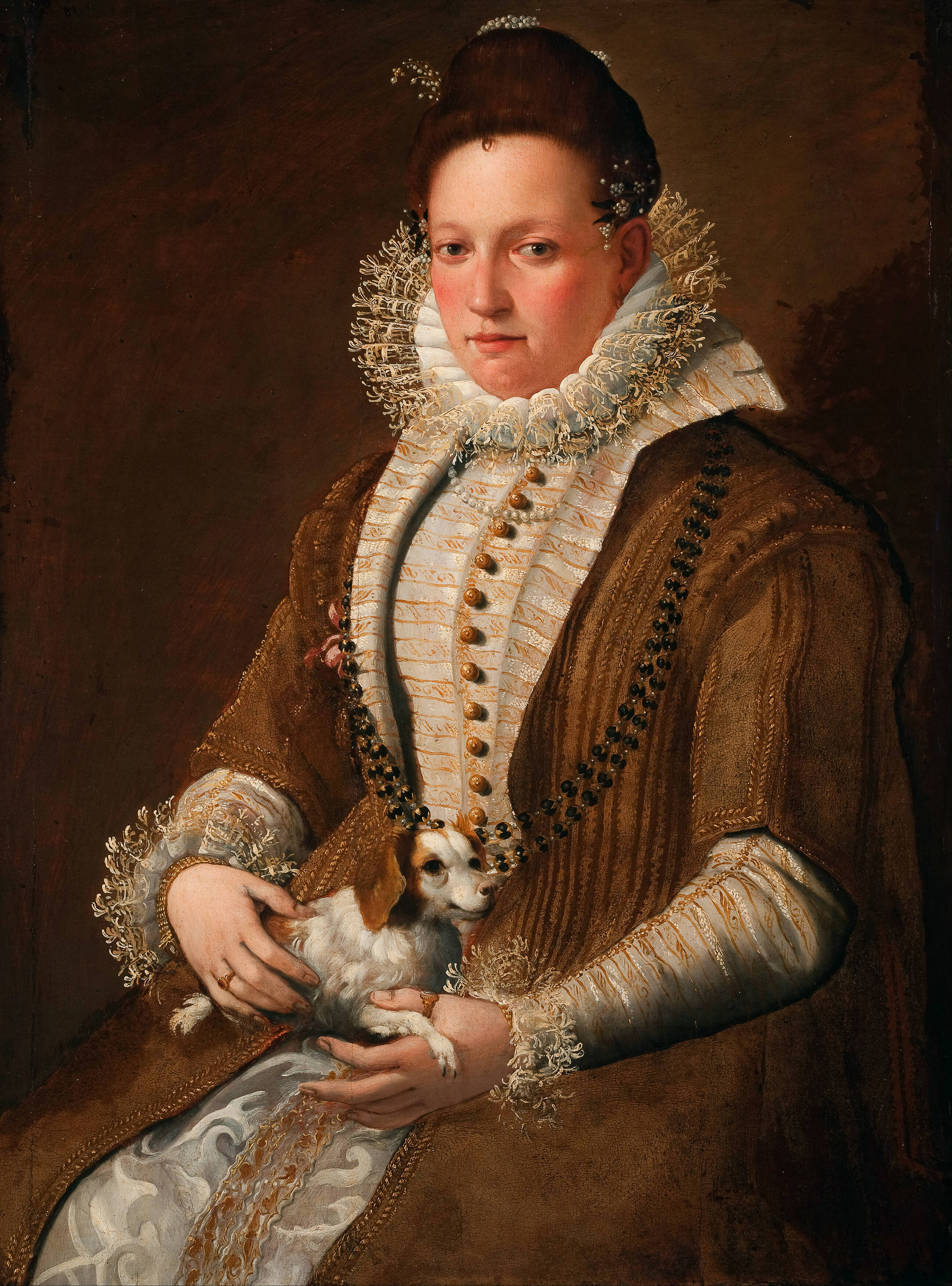 <p><strong>Lavinia Fontana</strong> <em>Portrait of a lady with a dog</em>, 1590s, Mackelvie Trust Collection, Auckland Art Gallery Toi o Tāmaki, purchased 1956</p>
