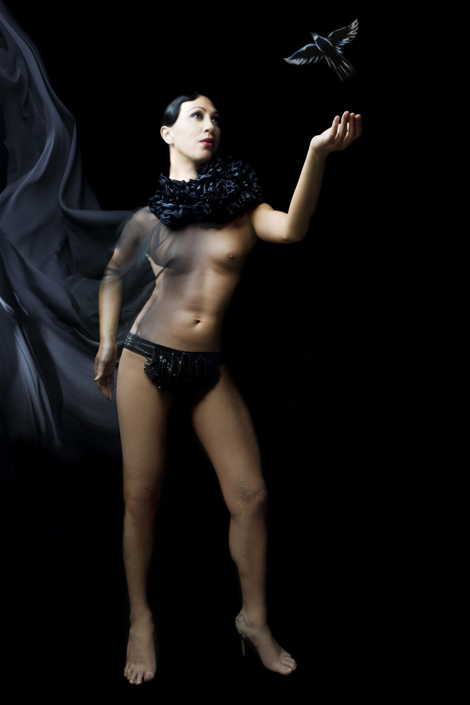 <p><strong>Lisa Reihana</strong>, <em>Diva,</em> 2007. Auckland Art Gallery Toi o Tāmaki, gift of the Patrons of the Auckland Art Gallery, purchased with assistance from the Gallery, 2010</p>
