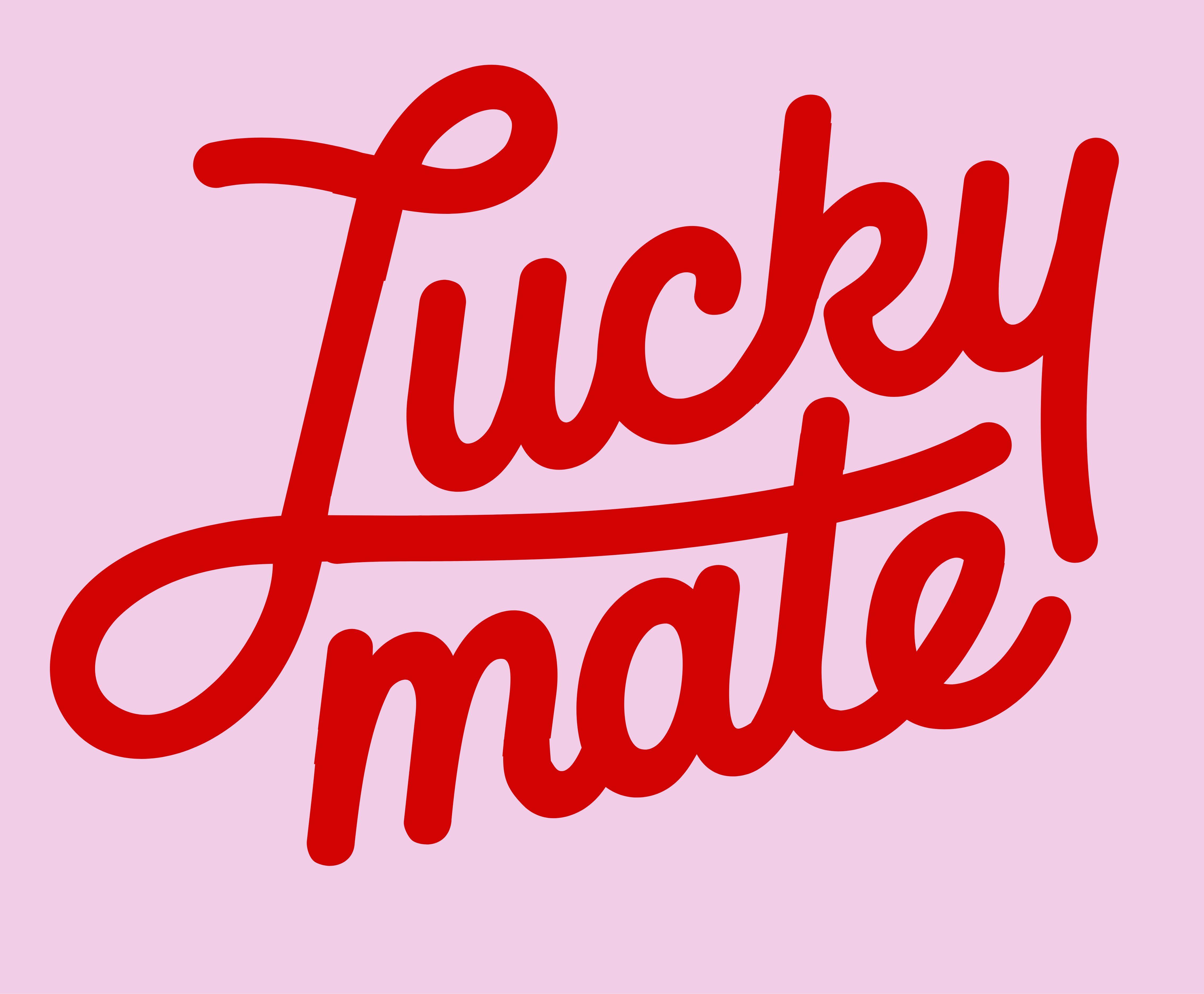 <p><strong>Lucky Mate</strong></p>

<p>Coming from a background of 35 years in food manufacturing and distribution, Lucky Mate food truck brings together Asian food culture and the warmth of home-grown hospitality. East meets Aotearoa &ndash; a little&nbsp;different&nbsp;yet familiar&nbsp;at the same time.<br />
<br />
Choose from steamed bao &ndash; our BBQ pork classic or a Belgian chocolate bao served with a scoop of ice cream &ndash; alongside har gow, siu mai, and bubble milk teas. Vegetarian options available.<br />
<br />
Good food. Good company. Lucky you.&nbsp;</p>
