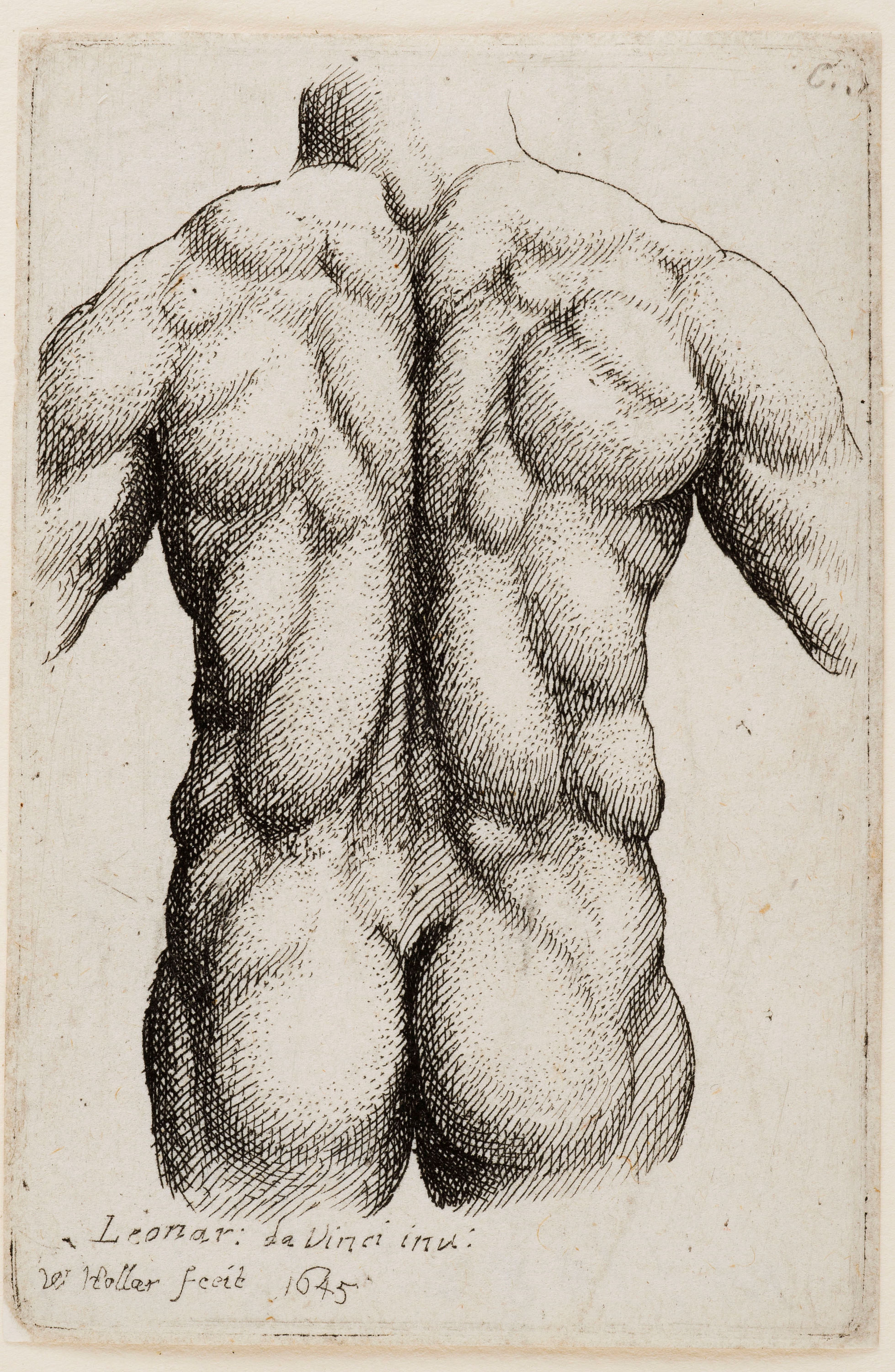 <p><strong>Wenceslaus Hollar, after Leonardo da Vinci</strong><br />
<em>Anatomy</em> 1645<br />
Mackelvie Trust Collection, Auckland Art Gallery Toi o Tāmaki<br />
bequest of Dr Walter Auburn, 1982</p>
