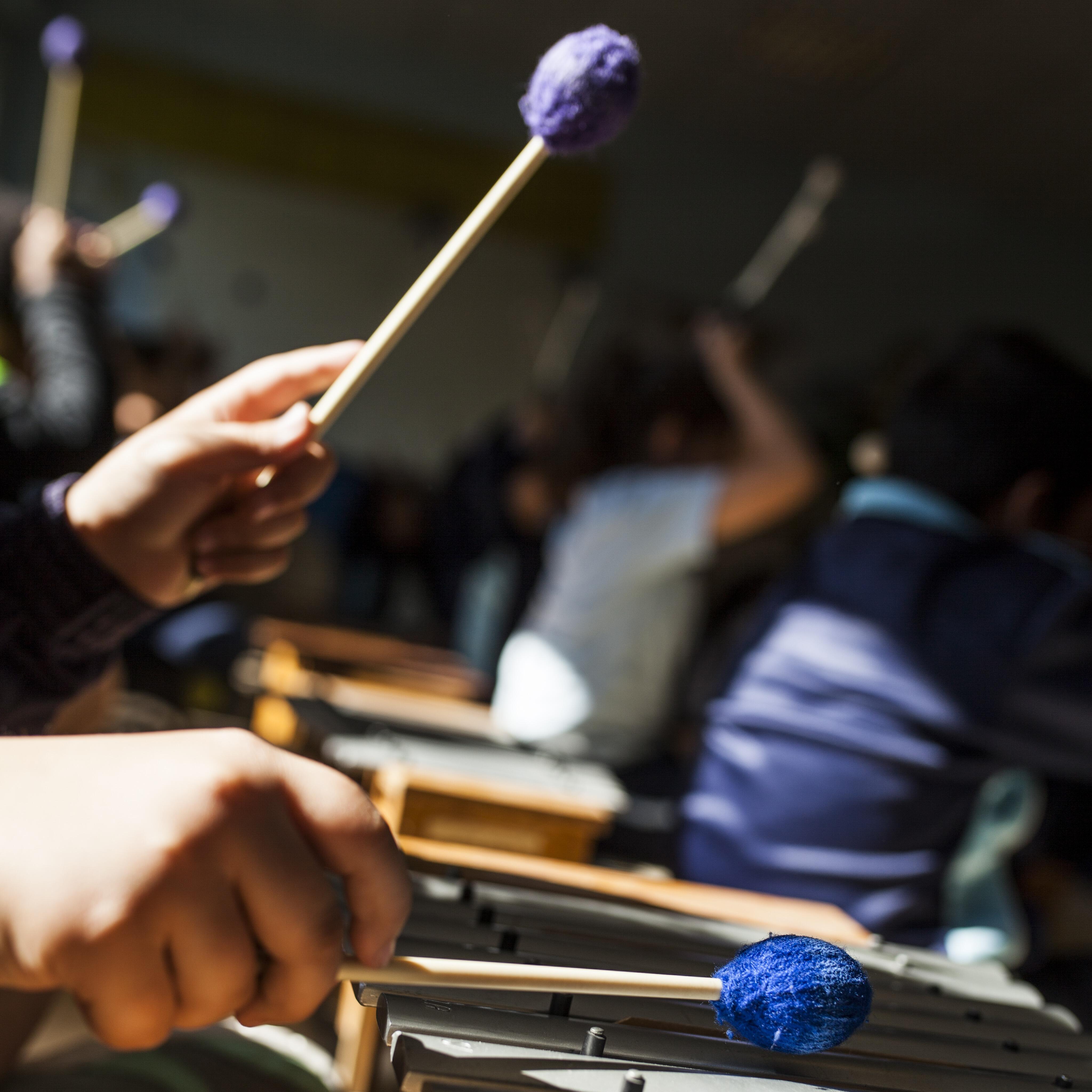 <p><strong>PLAY</strong></p>
<p><strong>Music Exploration with Auckland Philharmonia</strong></p>
<p><strong>10.20–10.50am, 12.25–12.55pm</strong></p>
<p><strong>Te Ātea | North Atrium, Mezzanine</strong></p>
<p>What do a bassoon and a kauri tree have in common? Can trees talk to each other – and what might they sound like? And what about the animals that live in them?</p>
<p>Join us for a fun, hands-on musical adventure! Tamariki are invited to explore a variety of hand percussion instruments and discover the deep, earthy sound of the bassoon. Together with our music educator, we’ll make music, spark curiosity and connect with the wonders of nature through sound.</p>