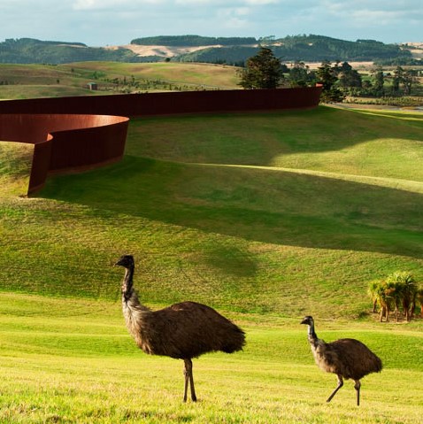 SOLD OUT| A Day at Gibbs Farm with Auckland Art Gallery Toi o Tāmaki POSTPONED TO OCTOBER