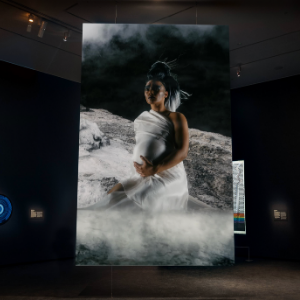 Auckland Art Gallery Toi o Tāmaki takes Māori art to the world with release of new virtual tour in English, simplified Chinese and te reo Māori
