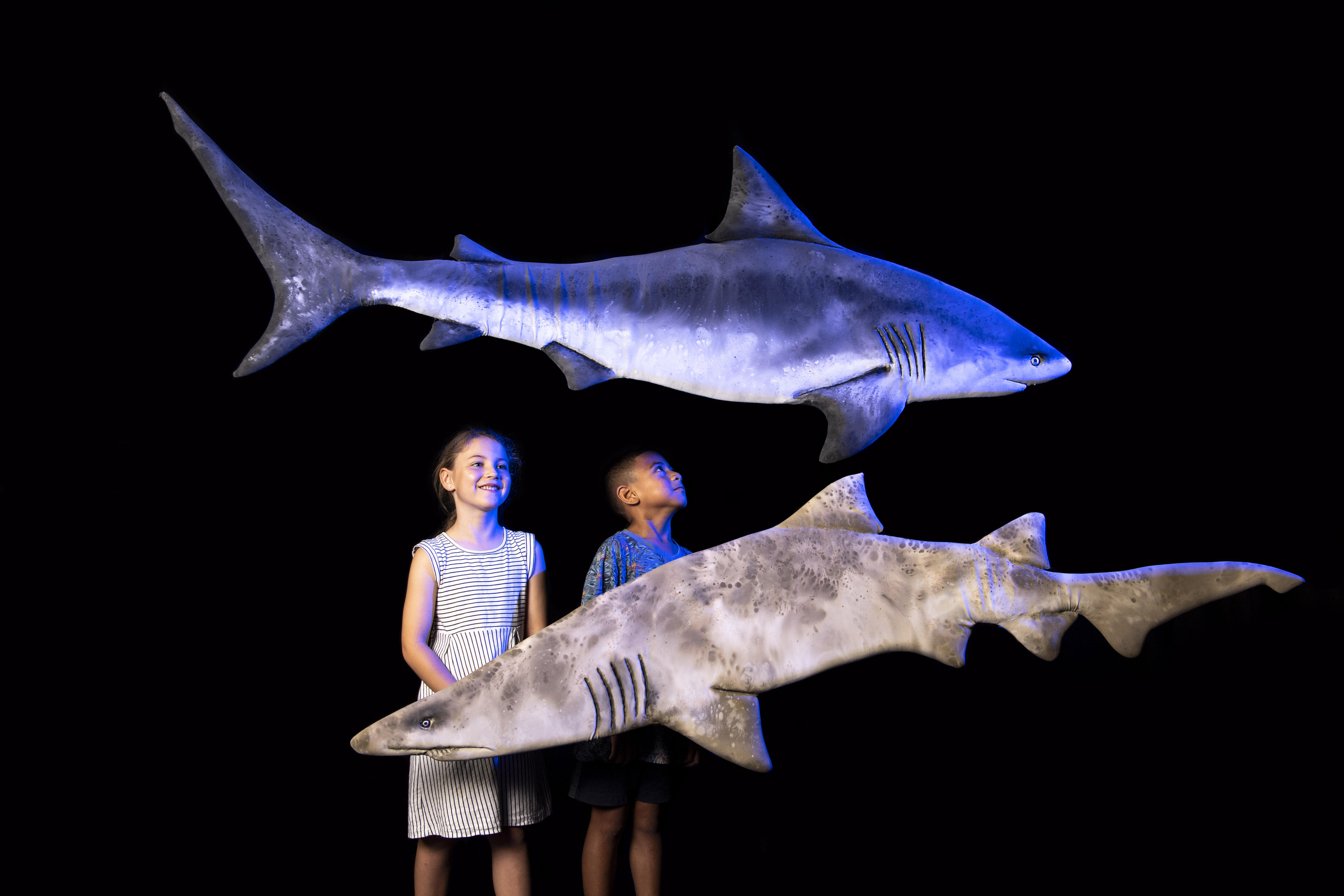 https://cdn.aucklandunlimited.com/corporate/assets/media/swimming-with-sharks-credit-cassandra-hannagan-3.jpg