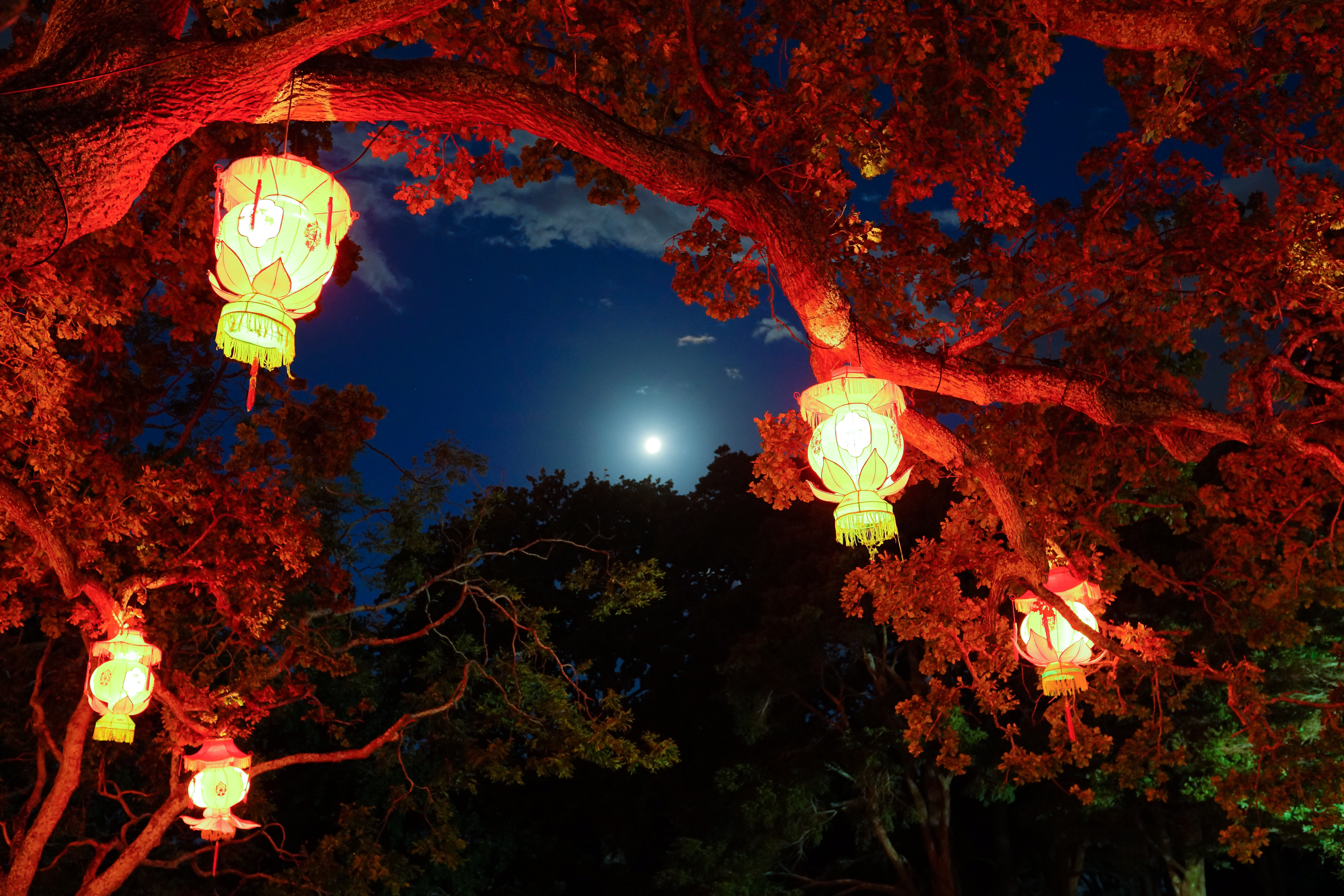 Auckland lantern festival