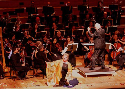 The Auckland Opera Studio 2026 Opera Gala | 28 Jun