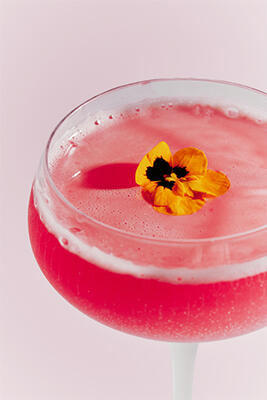 Sip, Savour & Indulge