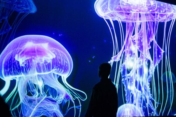 DARKLIGHT: The Hidden World