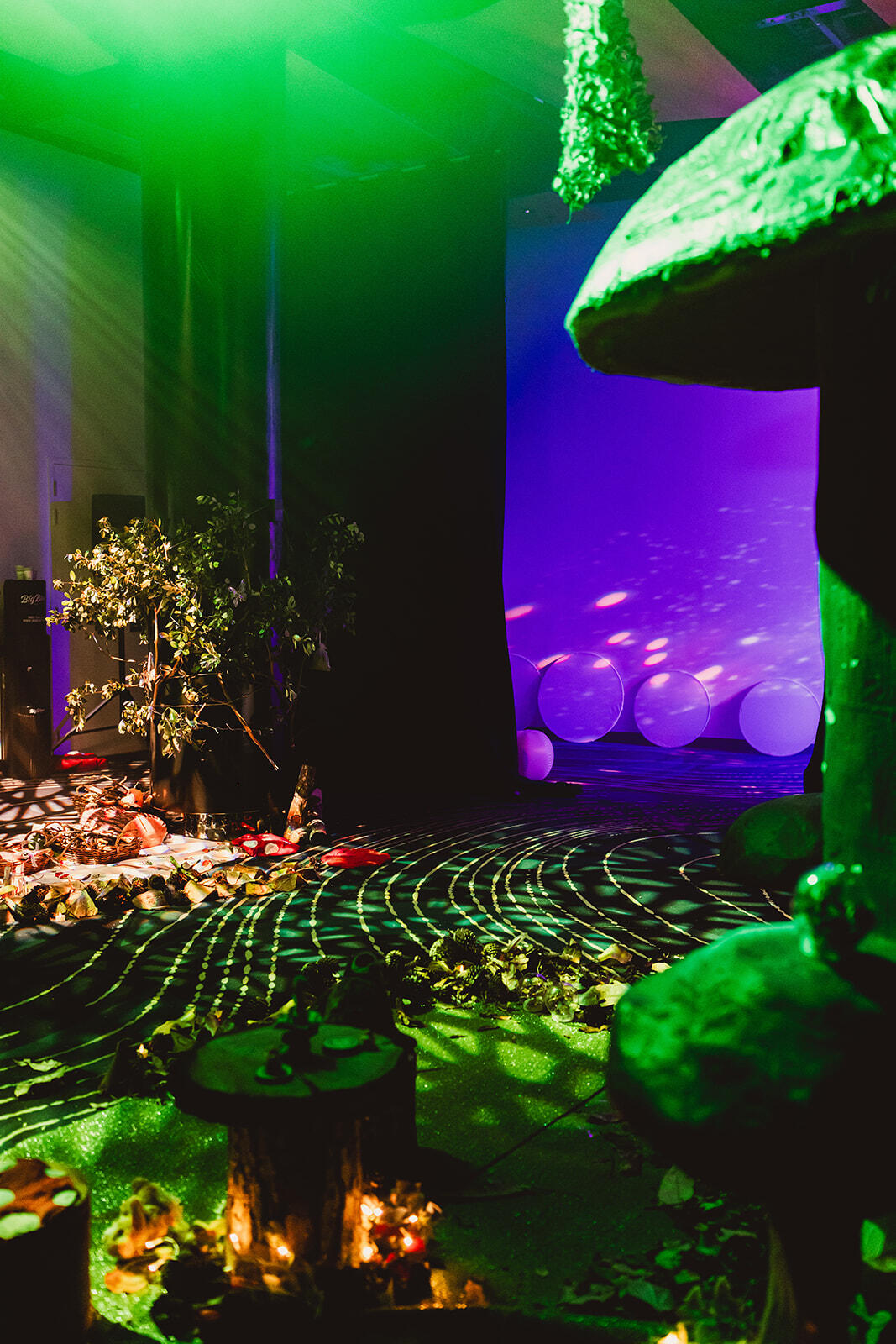 The Imaginarium