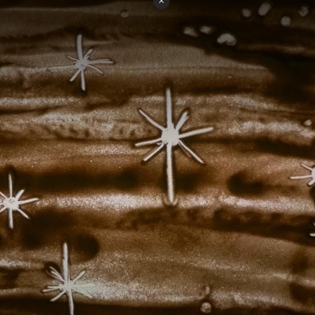 Matariki ki te Manawa