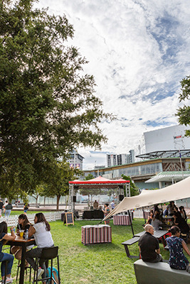 Auckland Live Summer in the Square 2019