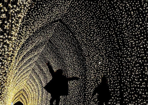 Winter Light Cathedral | Now on at Aotea Square