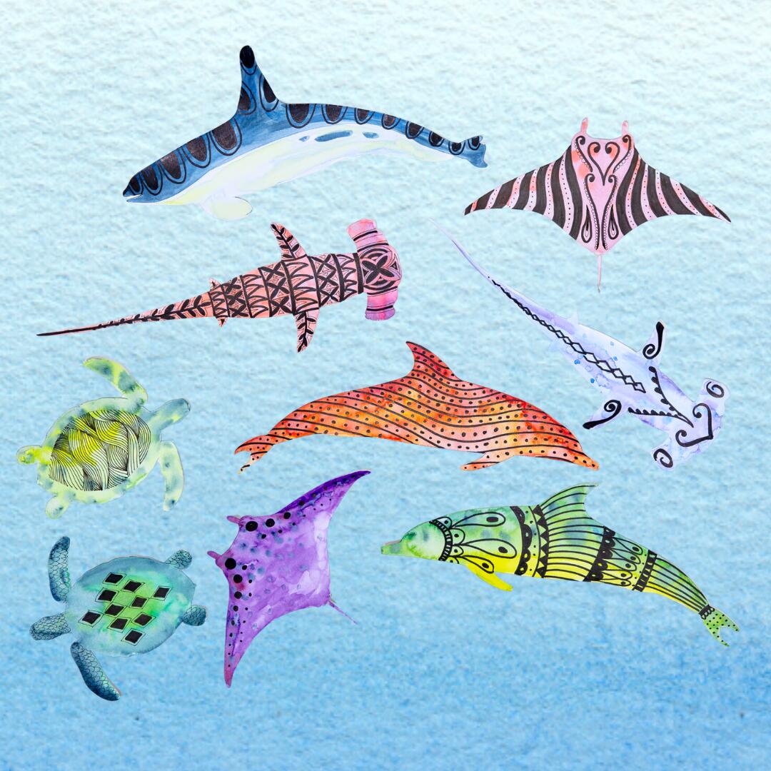 https://cdn.aucklandunlimited.com/maritime/assets/media/make-days-our-ocean-creatures.jpg