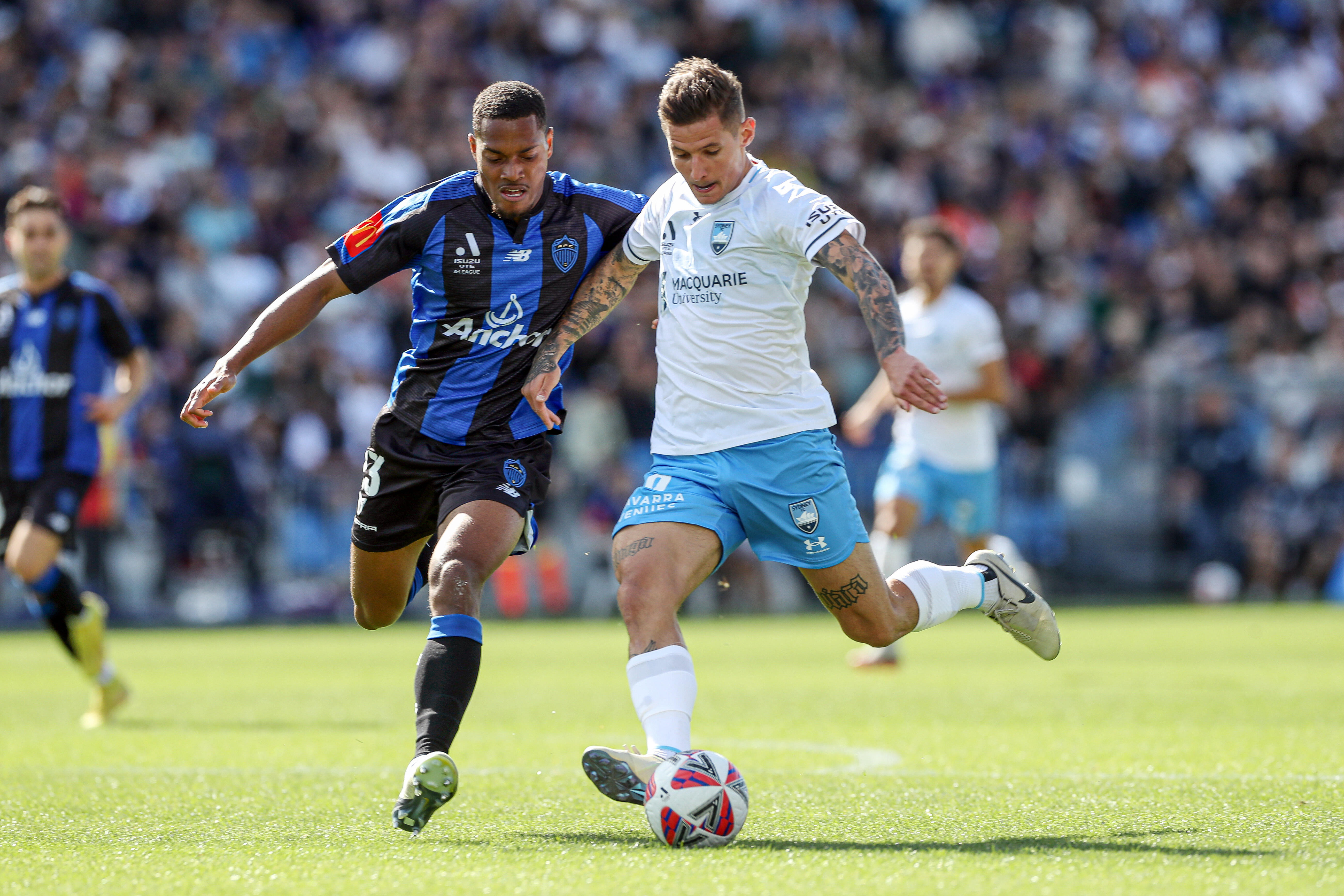 Auckland FC vs Sydney FC 2025/26 Season