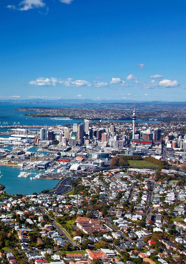 Economic boost for Auckland highlight success of Auckland Stadium Strategy