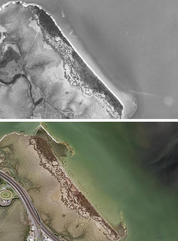 https://cdn.aucklandunlimited.com/zoo/assets/media/2-motu-mawawa-pollen-island-in-1940-top-and-2017-bottom-image-from-auckland-council-geomaps.png