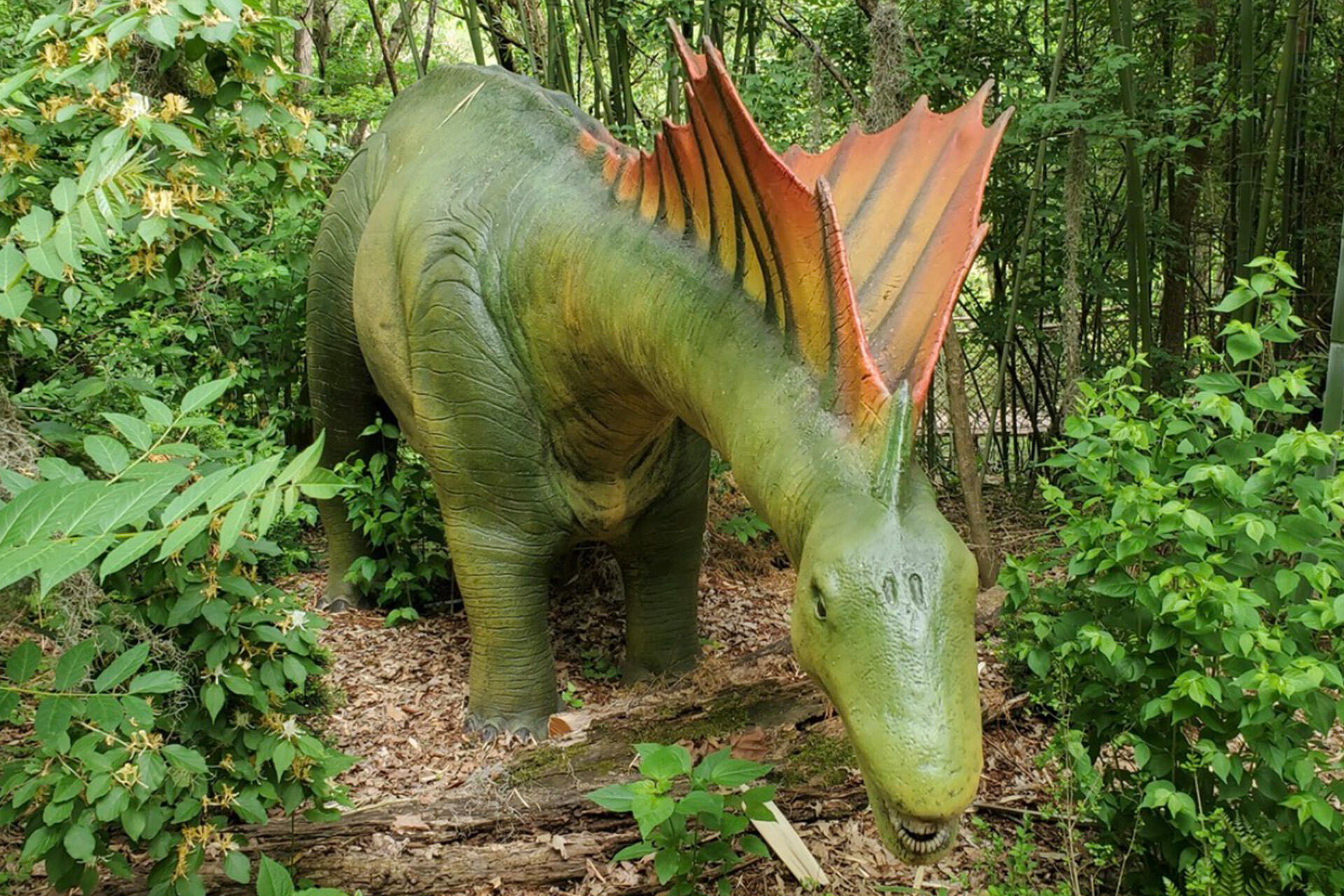 https://cdn.aucklandunlimited.com/zoo/assets/media/amargasaurus-the-dinosaur-company.jpg
