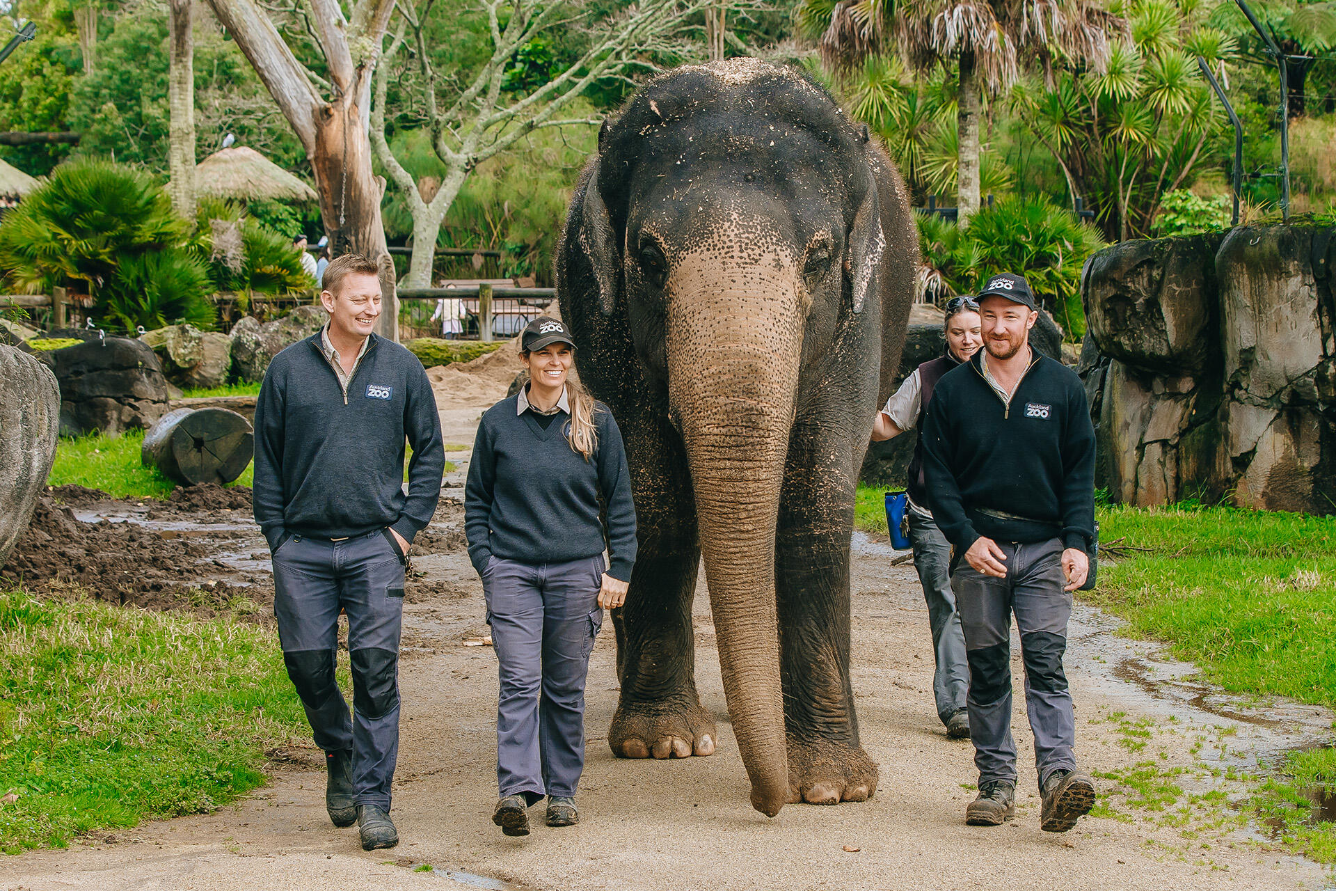 https://cdn.aucklandunlimited.com/zoo/assets/media/asian-elephant-burma-with-elephant-team-leader-andrew-coers-and-elephant-keepers-corryn-coers-laurel-sandy-and-odin-neil-2.jpg