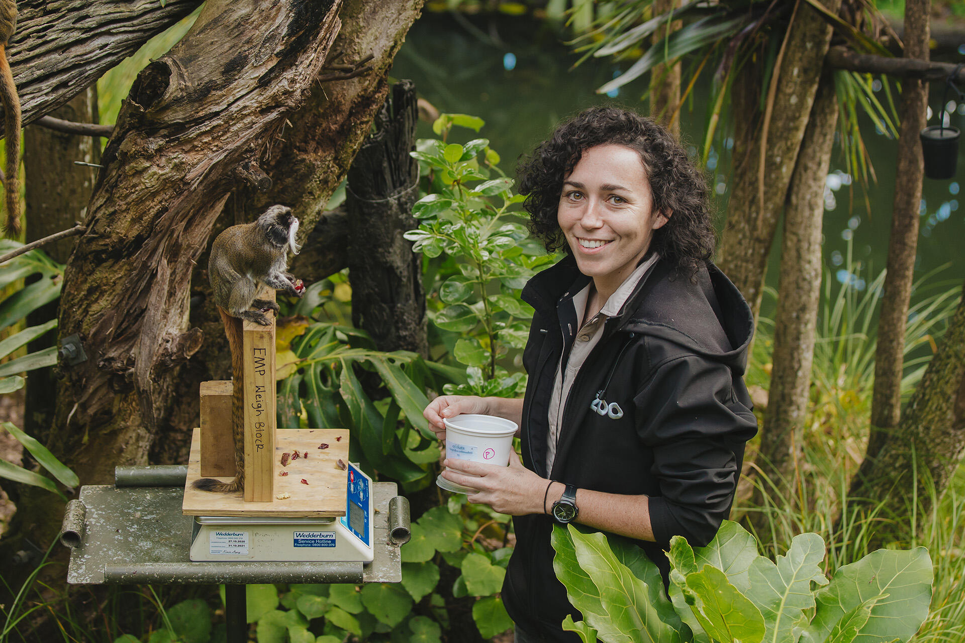 https://cdn.aucklandunlimited.com/zoo/assets/media/auckland-zoo-emperor-tamarin-keeper-130521-44.jpg