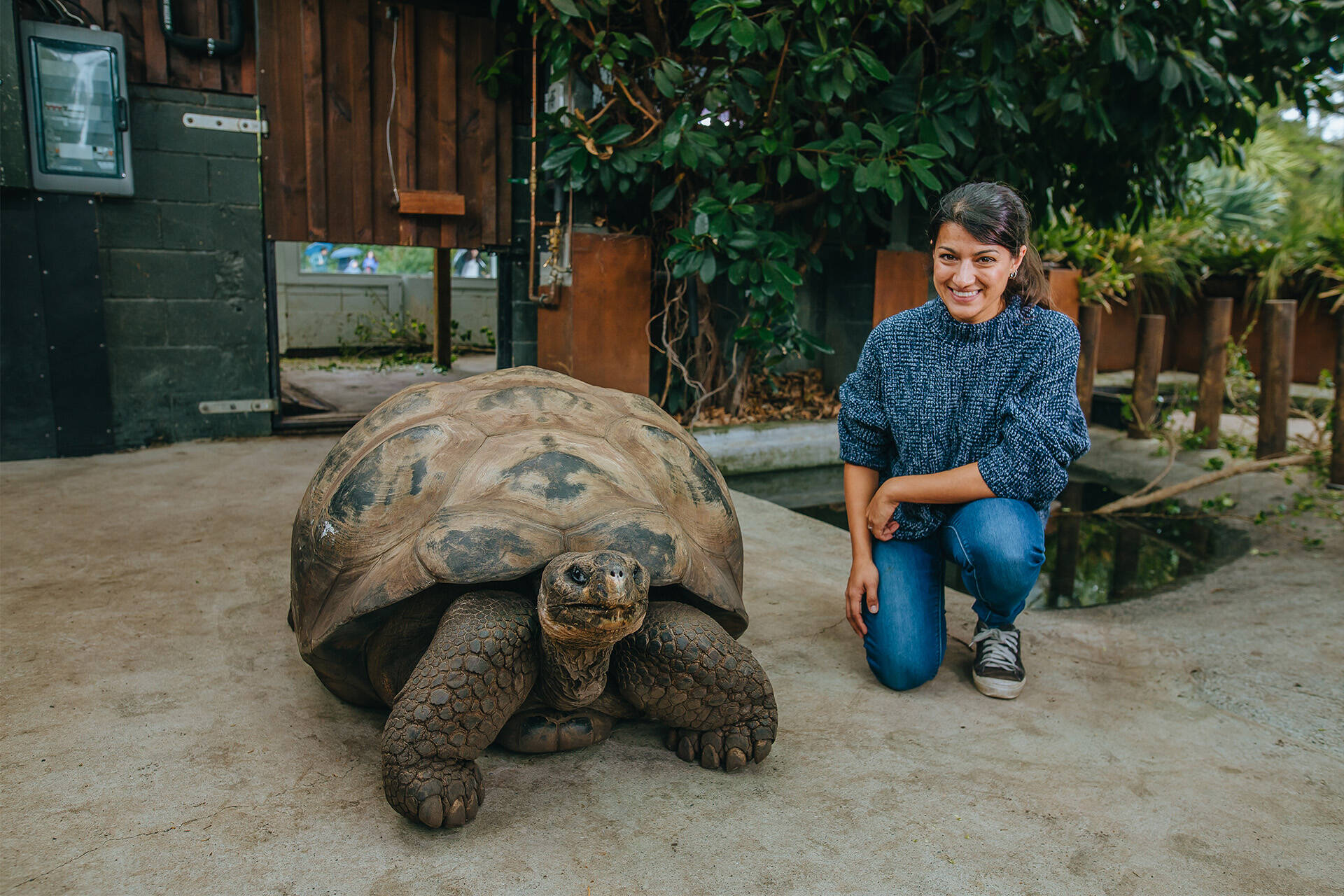 https://cdn.aucklandunlimited.com/zoo/assets/media/auckland-zoo-galapagos-tortoise-experience-21122-09a.jpg
