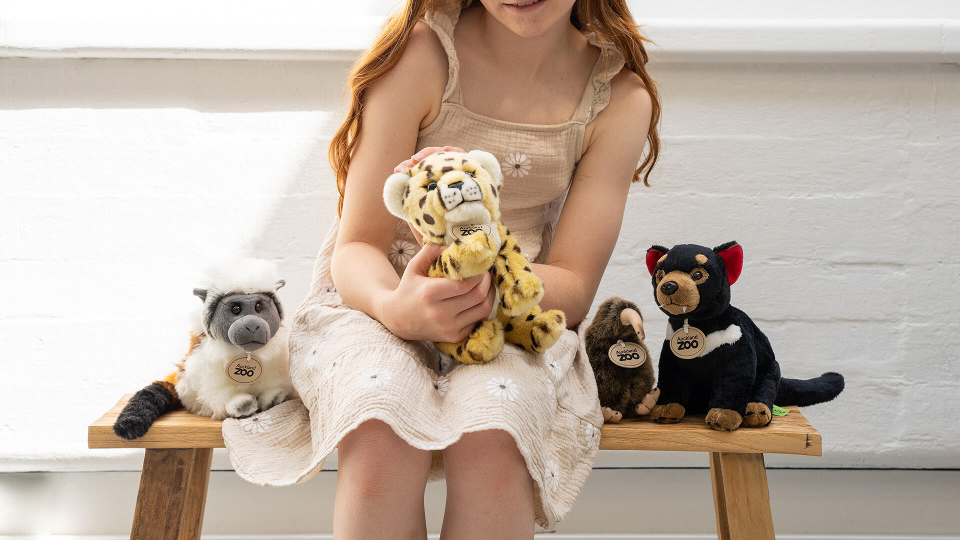 https://cdn.aucklandunlimited.com/zoo/assets/media/auckland-zoo-soft-toys-banner.jpg