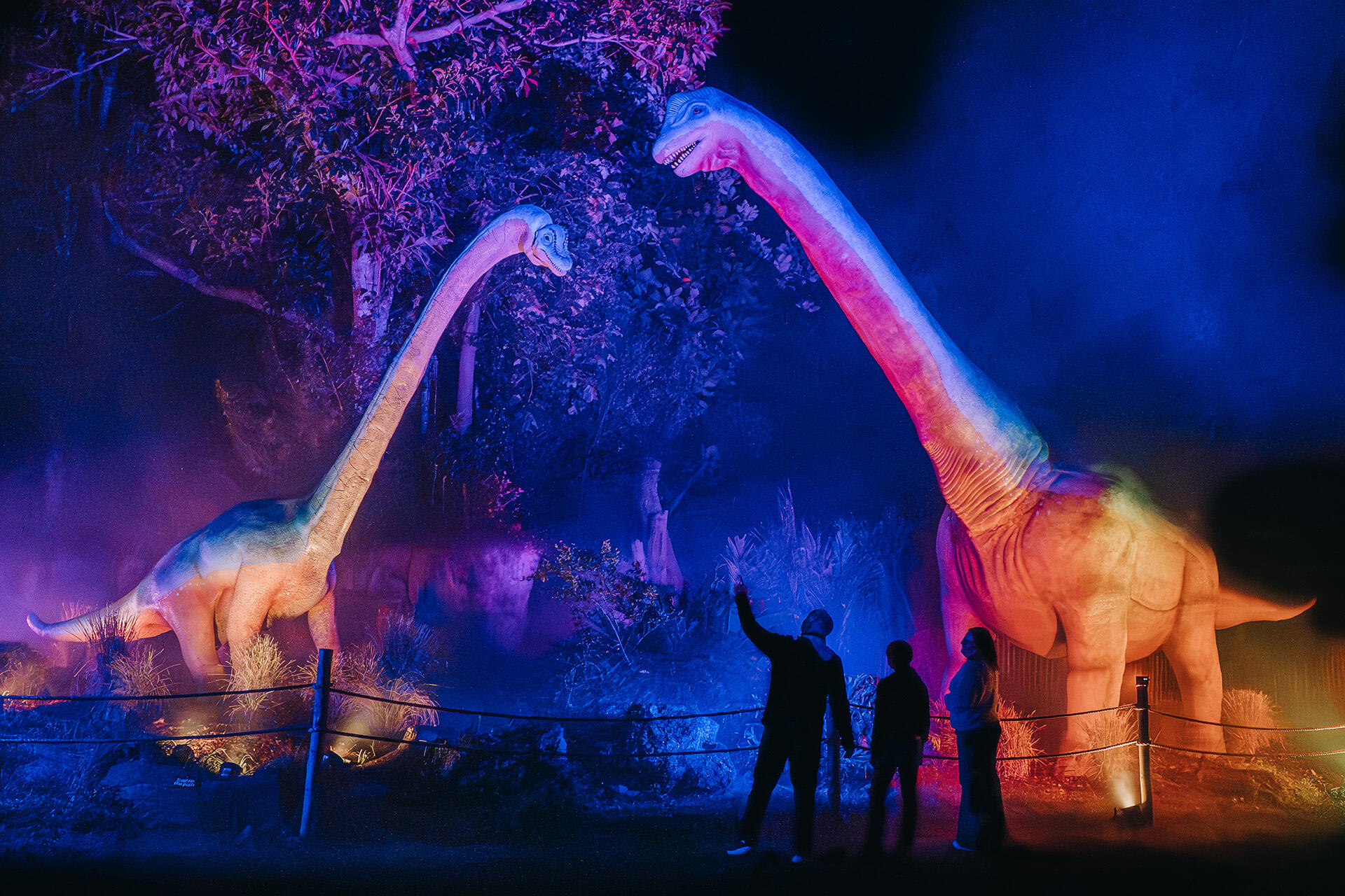 https://cdn.aucklandunlimited.com/zoo/assets/media/az-brachiosaurus-at-night-080626-01.jpg