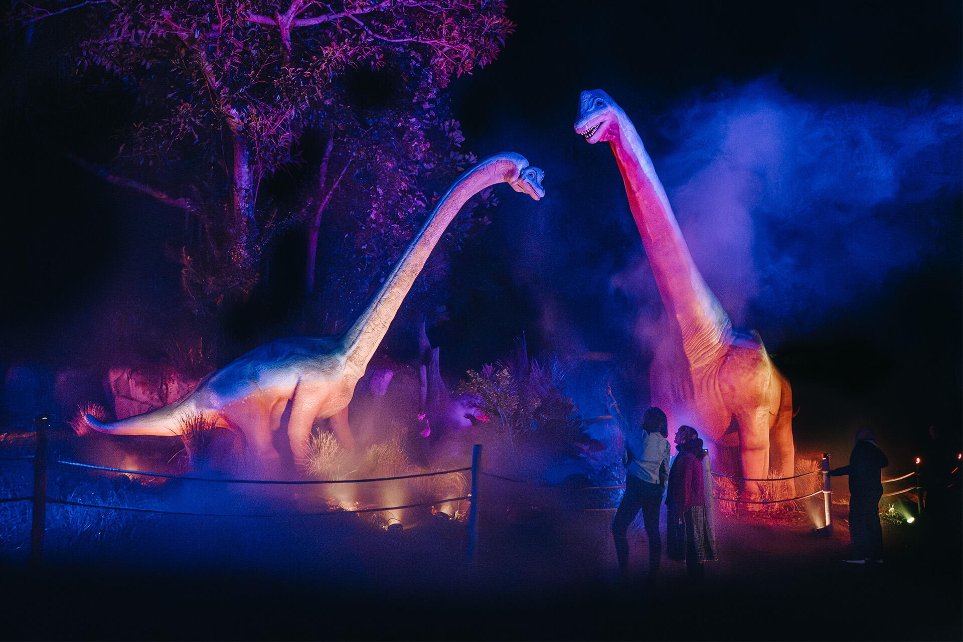 https://cdn.aucklandunlimited.com/zoo/assets/media/az-brachiosaurus-at-night-080626-04.jpg