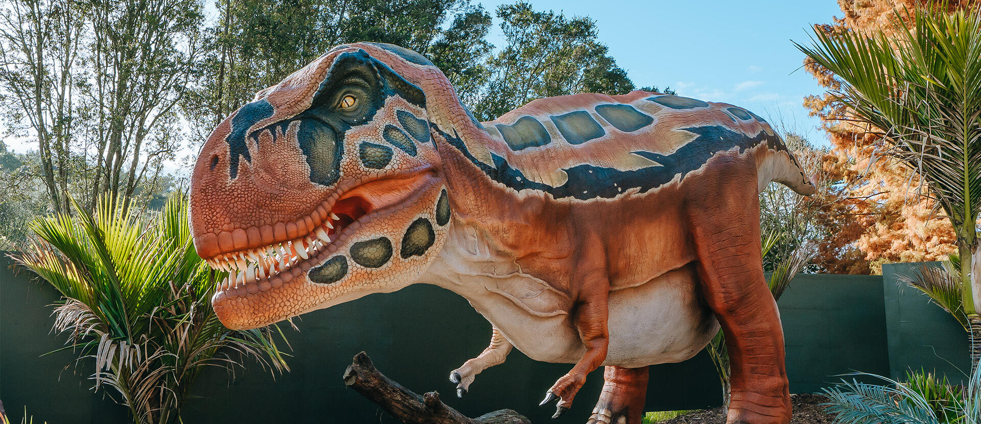 https://cdn.aucklandunlimited.com/zoo/assets/media/az-dino-t-rex-styled-28052602-hero.jpg