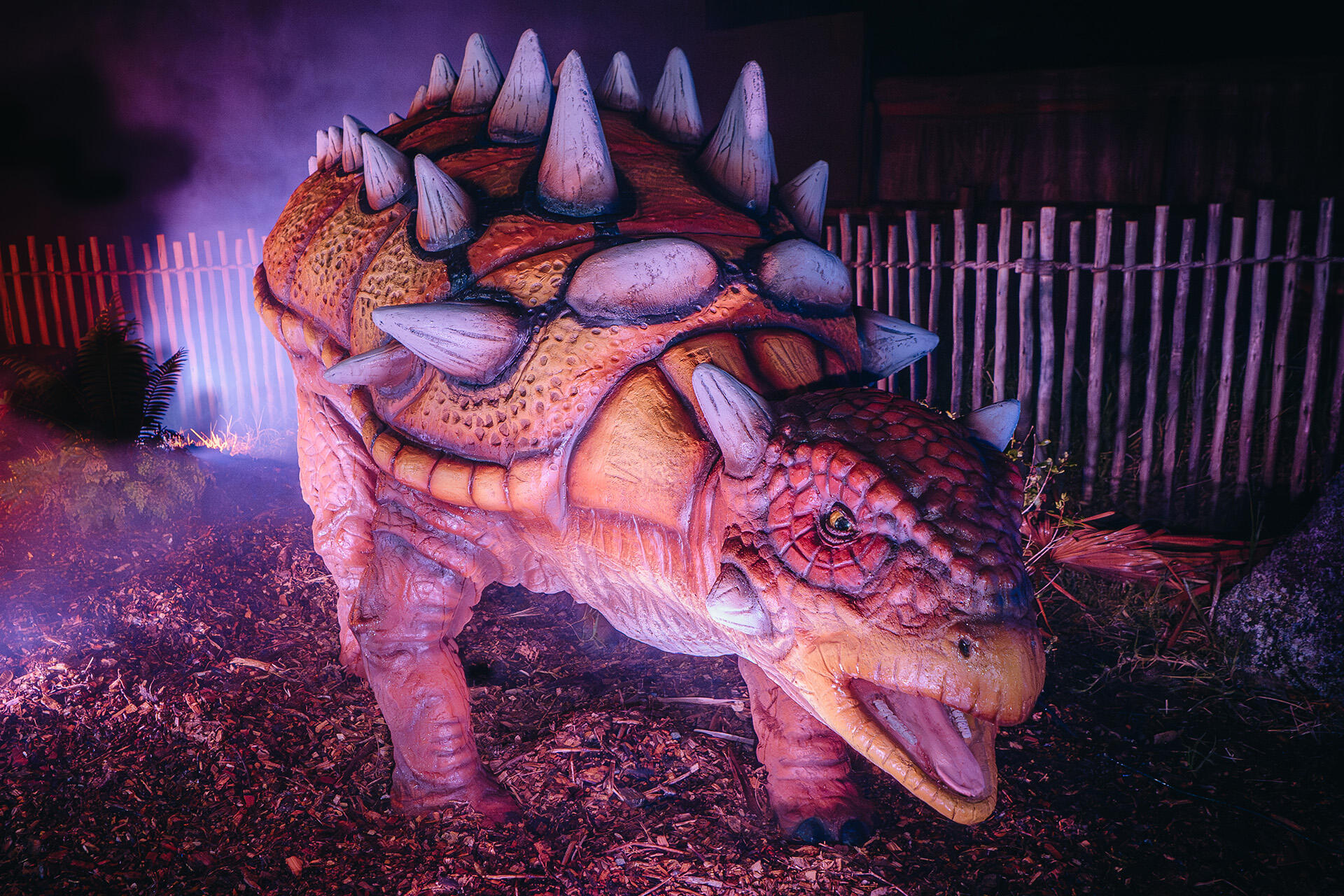 https://cdn.aucklandunlimited.com/zoo/assets/media/az-dinos-at-night-euoplocephal-200526-06.jpg