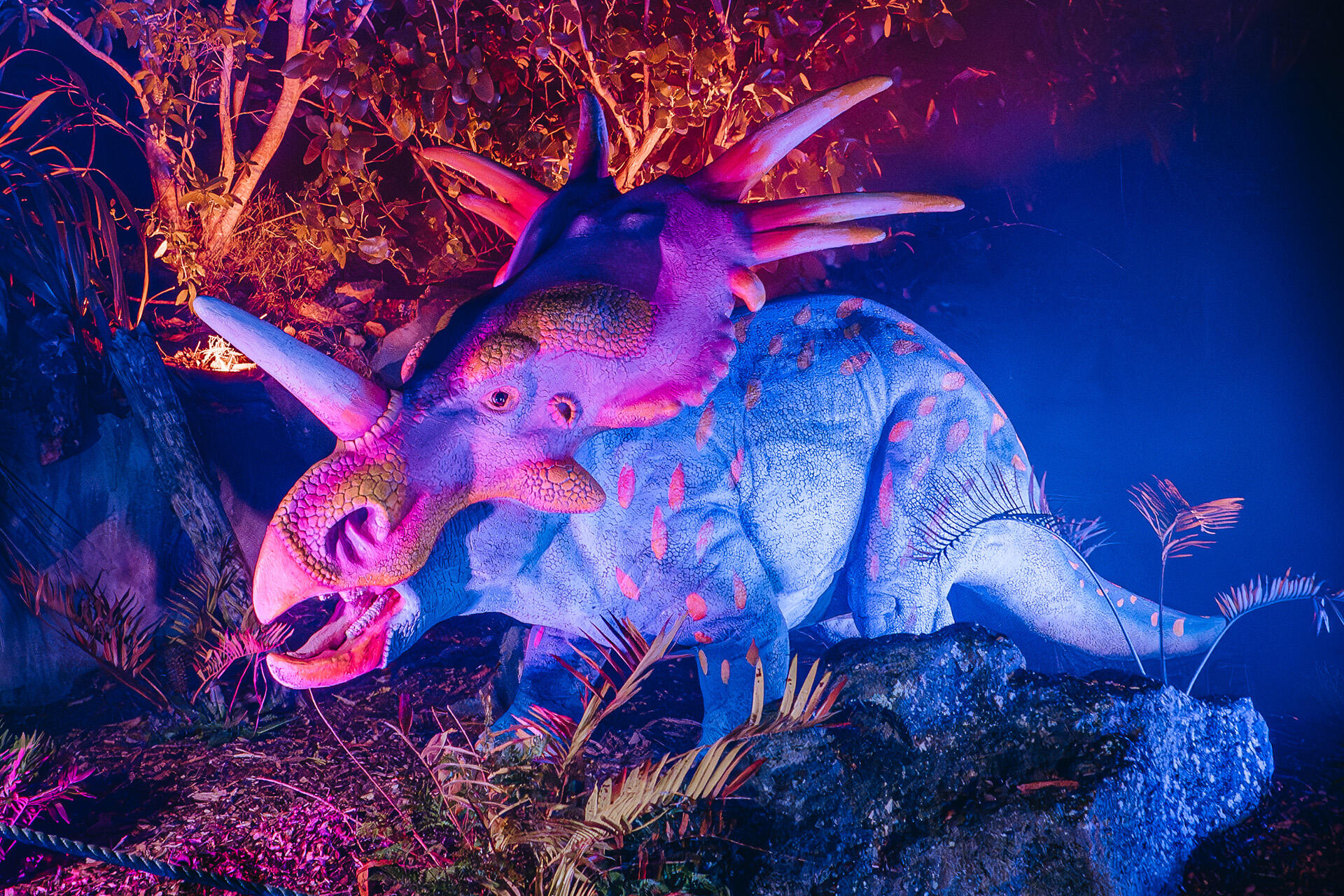 https://cdn.aucklandunlimited.com/zoo/assets/media/az-dinos-at-night-styracosaurus-080626-01.jpg