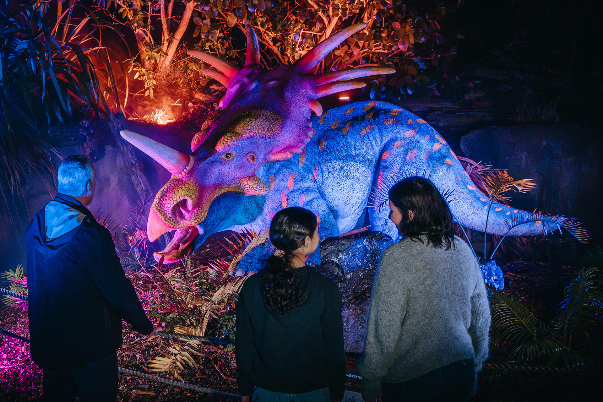 https://cdn.aucklandunlimited.com/zoo/assets/media/az-dinos-at-night-styracosaurus-080626-03.jpg
