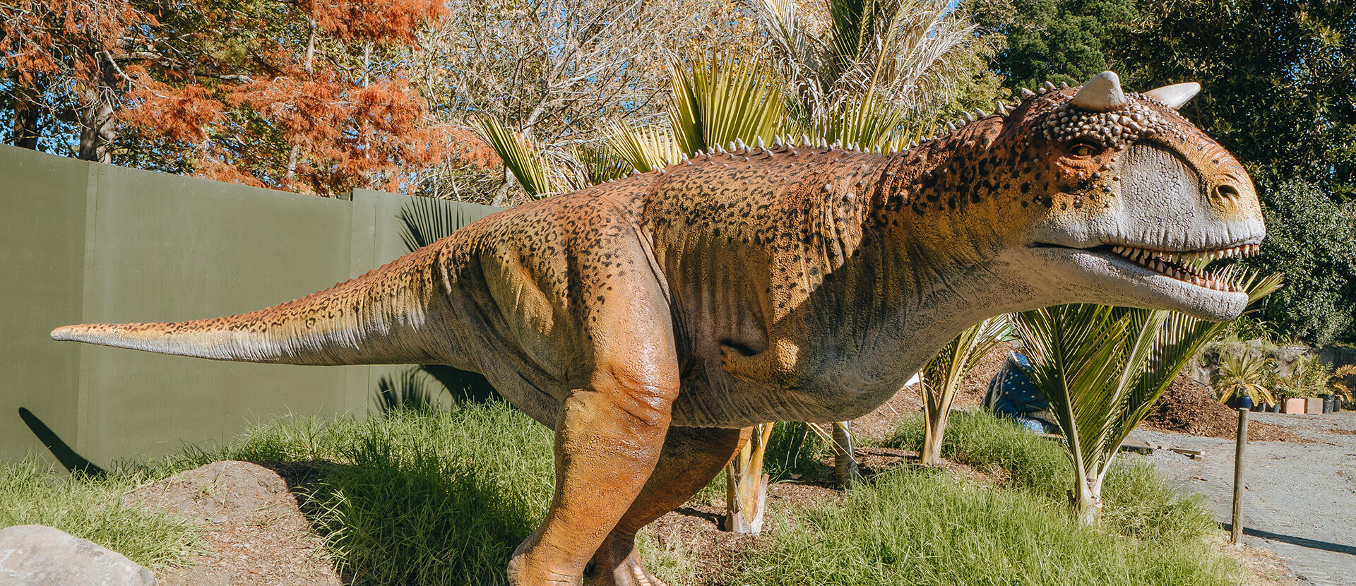 https://cdn.aucklandunlimited.com/zoo/assets/media/az-dinosaurs-carnotaurus-styled-280526-07-hero.jpg
