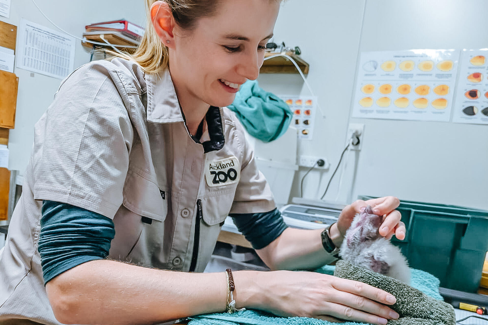 https://cdn.aucklandunlimited.com/zoo/assets/media/az-georgia-vets-kakapo-fieldwork-april-26-09.jpg