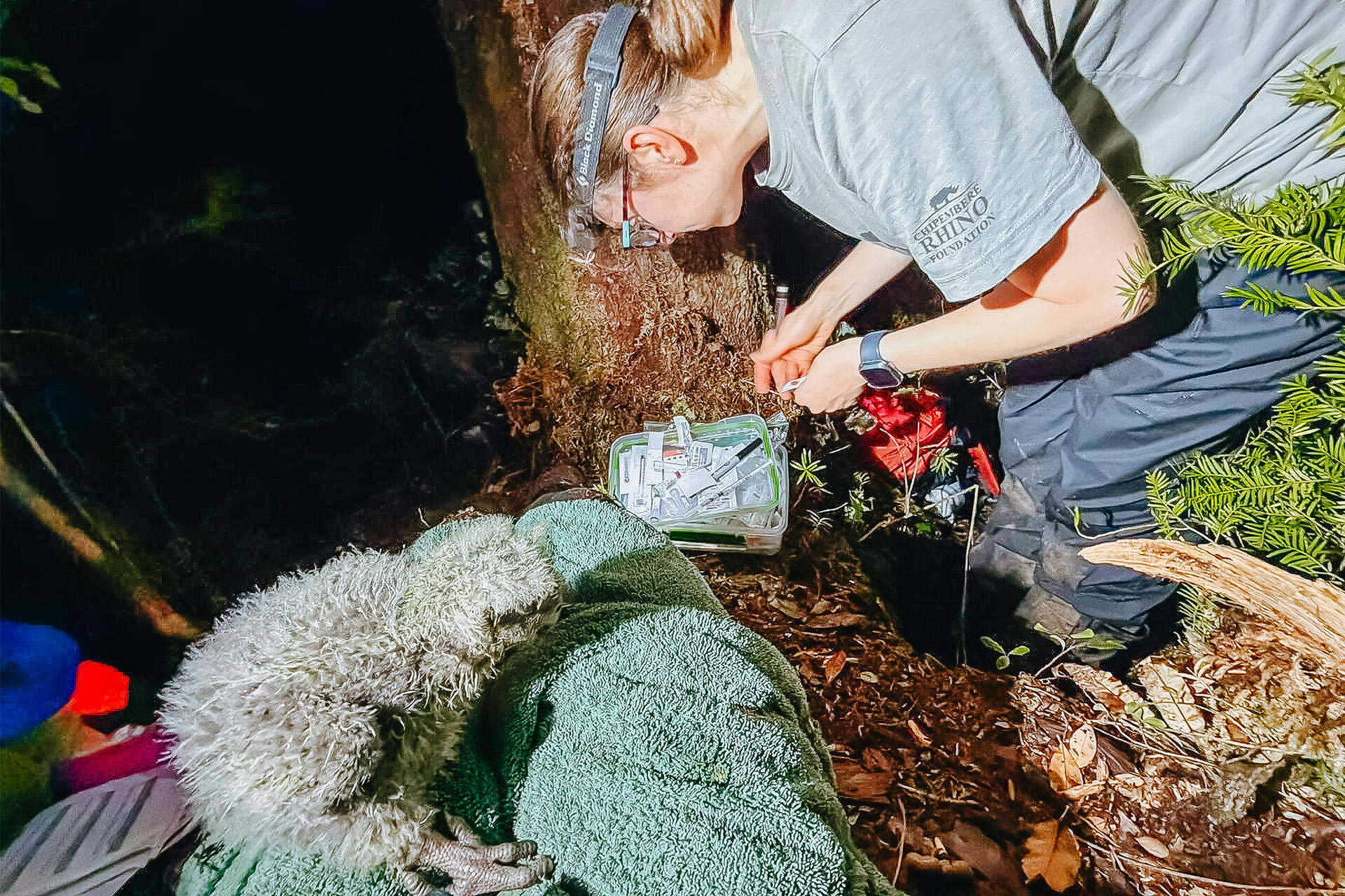 https://cdn.aucklandunlimited.com/zoo/assets/media/az-hannah-vets-kakapo-fieldwork-april-26-03.jpg