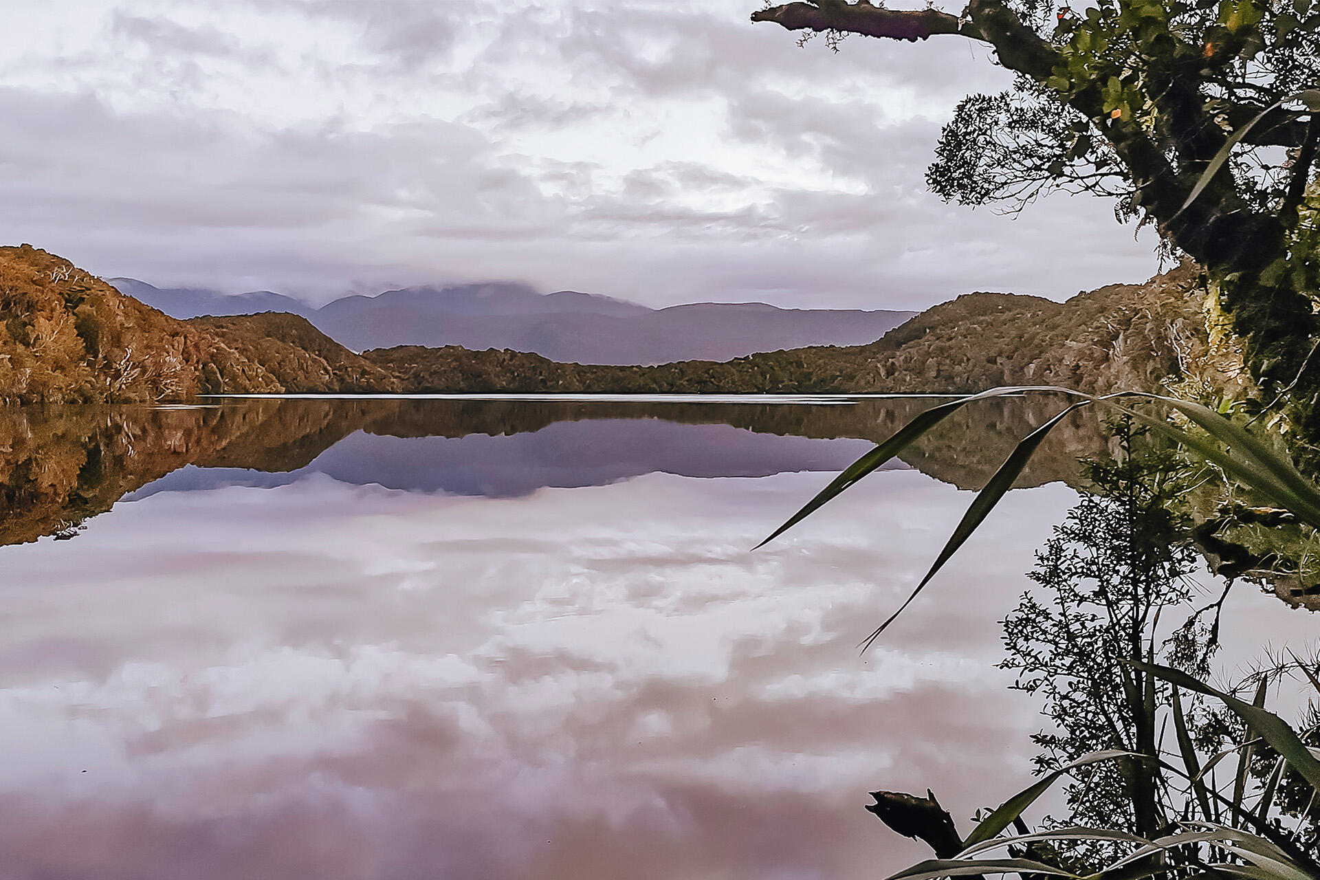 https://cdn.aucklandunlimited.com/zoo/assets/media/az-kakapo-jas-fieldwork-2026-06.jpg