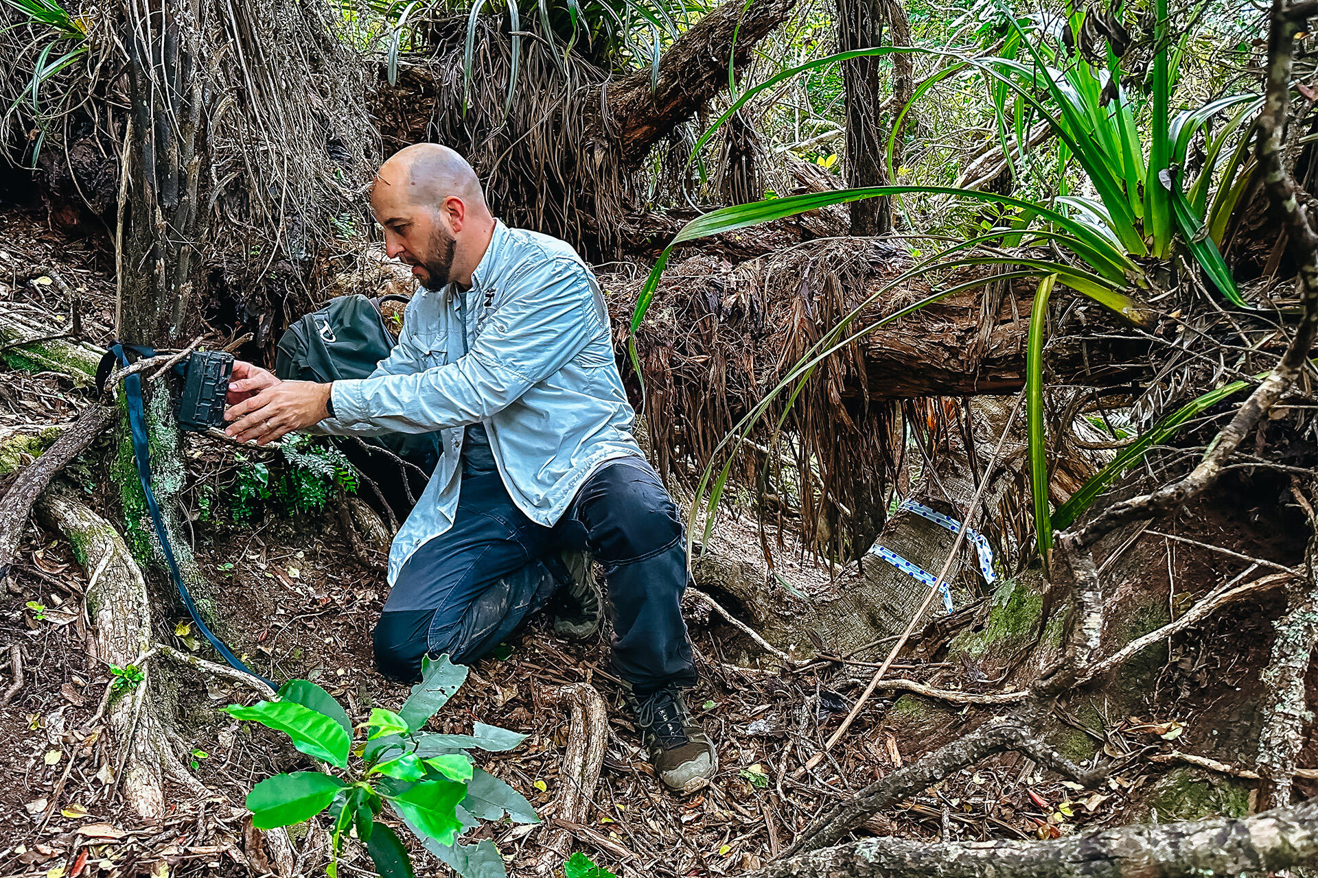 https://cdn.aucklandunlimited.com/zoo/assets/media/az-kiwi-fieldwork-chamberlines-181024-07.jpg