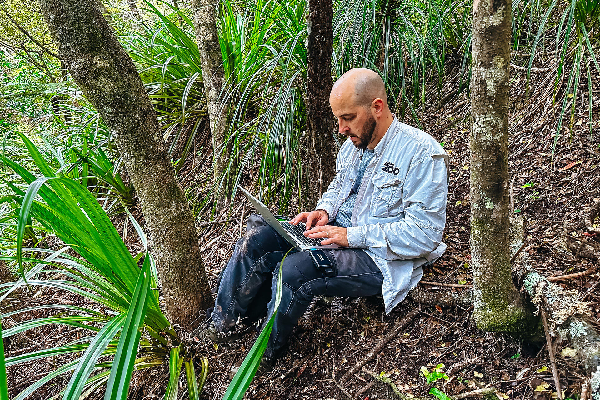 https://cdn.aucklandunlimited.com/zoo/assets/media/az-kiwi-fieldwork-chamberlines-181024-11.jpg