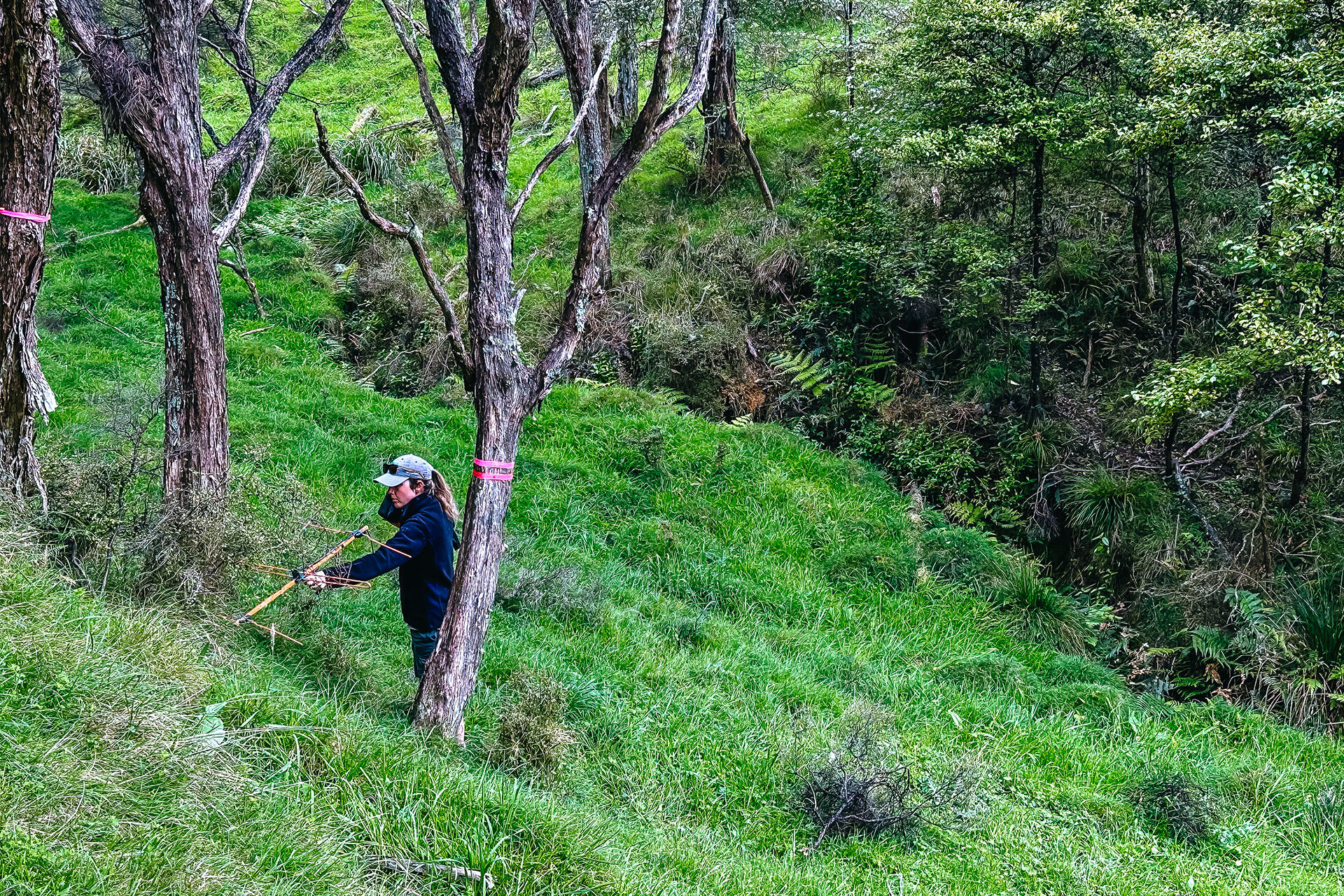 https://cdn.aucklandunlimited.com/zoo/assets/media/az-kiwi-fieldwork-chamberlines-181024-24.jpg