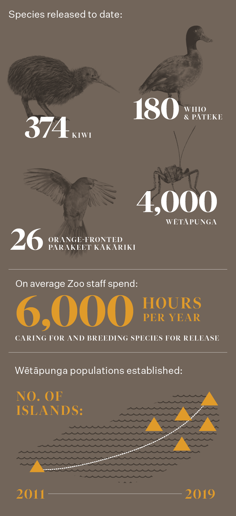 Wild Work | Our Conservation Work | Auckland Zoo