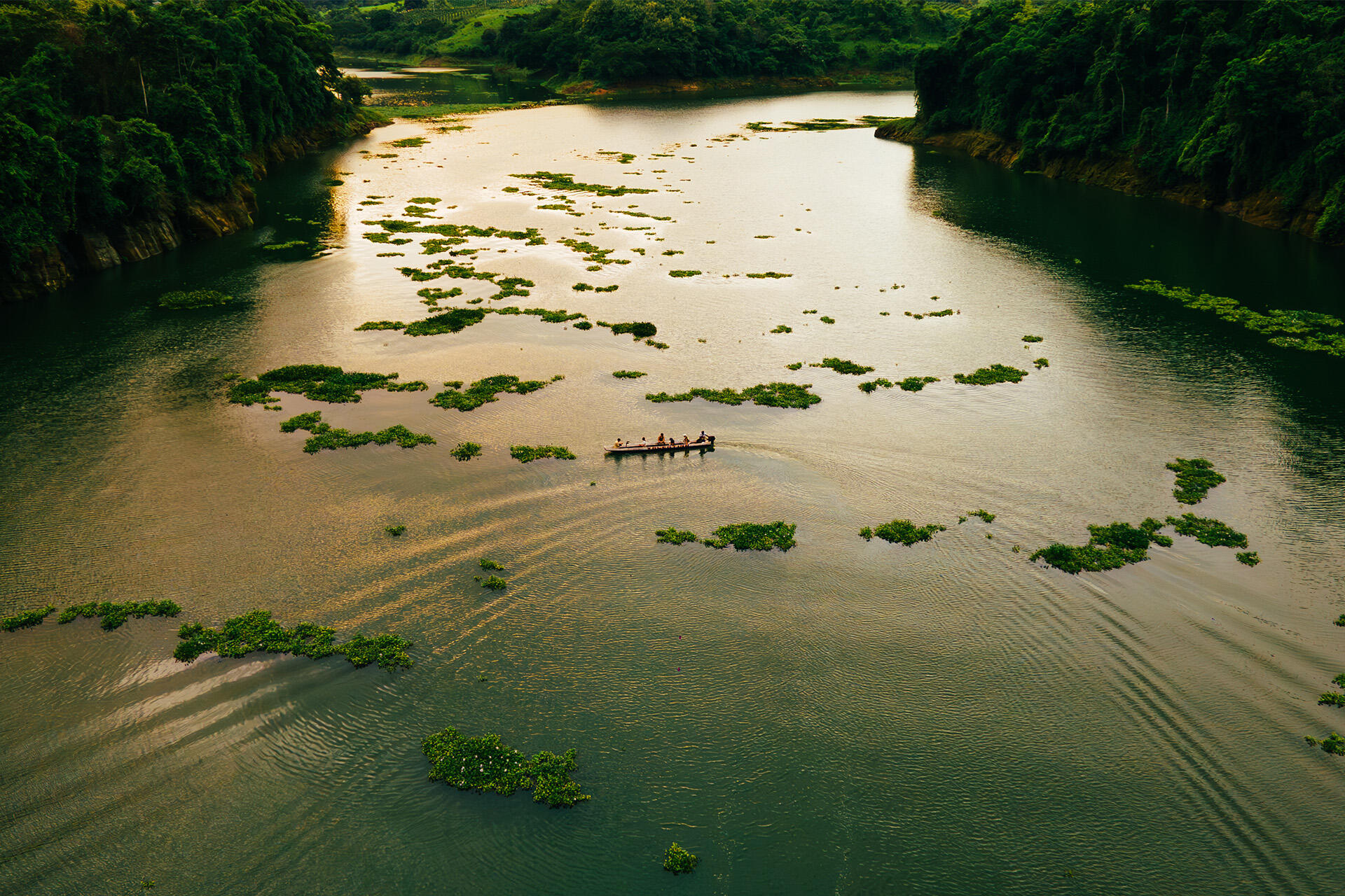https://cdn.aucklandunlimited.com/zoo/assets/media/canoe-search-photo-by-david-jacome2.jpg
